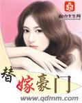 替嫁豪门心机女