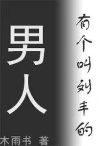 刘丰 是谁