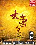 大唐天下科技有限公司