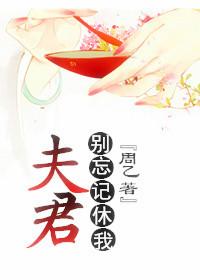 别忘记休我书评