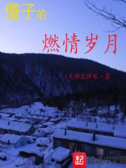 傻子的燃情岁月 第80章