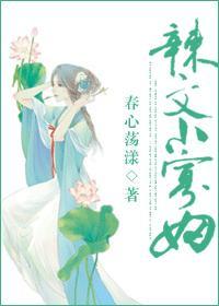 辣文小寡妇免费全文阅读