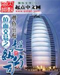位面交易之超级公司起点