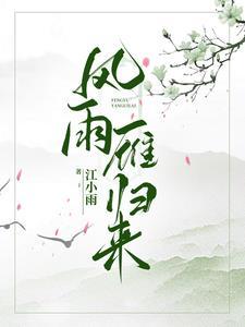 风雨雁归来女主与男主关系