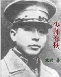 少帅春秋全部插曲