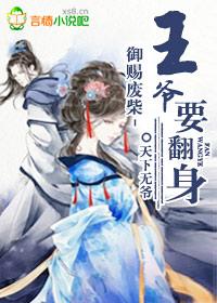 废柴王爷之御姐王妃免费观看电视剧
