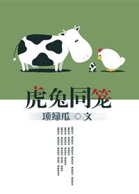 虎兔同笼活动题目及答案