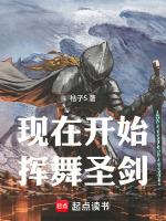 现在开始挥舞圣剑橘子5