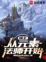 领主从元素法师开始笔趣阁最新章节列表