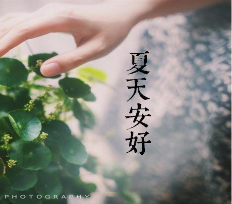 夏天安好祝福图片