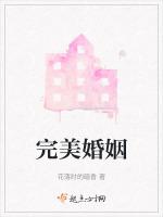 完美婚姻的定式全集解说