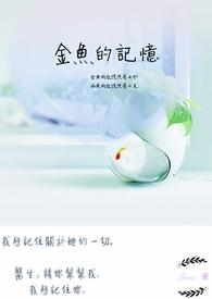 金鱼的记忆只有七秒 所以它在鱼缸背对着我哪里的台词