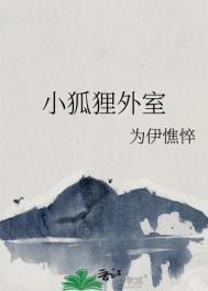 小狐狸外室笔趣阁