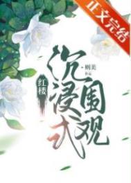 红楼沉浸式围观讲了什么