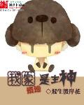 我家的泰迪犬