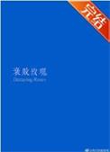 衰败玫瑰讲了什么故事