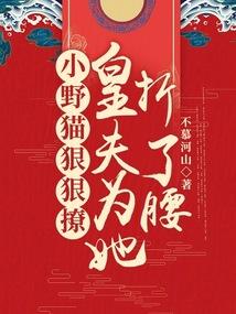 小野猫免费阅读无防盗