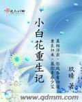 小白花重生记免费阅读