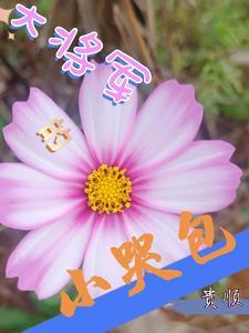 大将军的小哭包妩梵