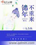 锦年不重来主要内容
