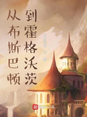 从布斯巴顿到霍格沃茨作者舍尔灵龟