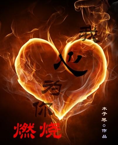 我心为你燃烧 毛阿敏唱法