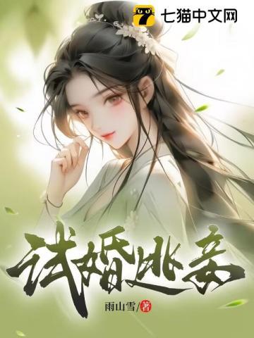 试婚逃妾by雨山雪