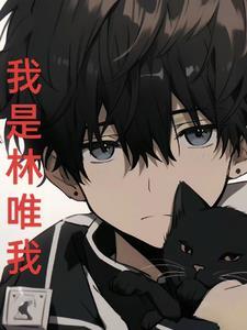 癫佬正传视频