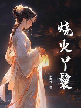 烧火丫鬟石豆全文阅读