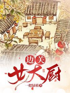 边关女大厨袁宝