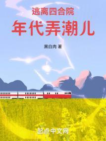 逃离四合院年代弄潮儿小