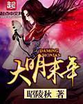 大明末年全集免费观看