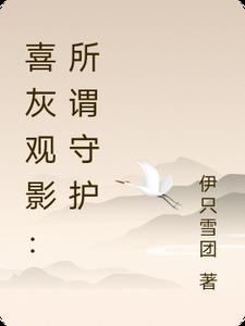 喜灰观影大电影守护
