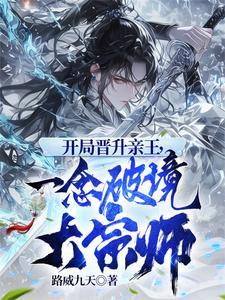 一念破境大宗师免弹窗