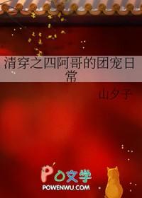 清穿之四阿哥的团宠日常 作者山夕子