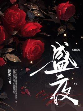 盛夜相逢