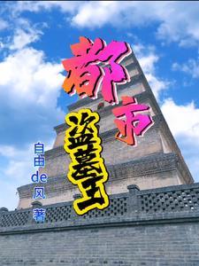 都市寻宝记有声