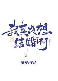 我真没想结婚啊晋江魔安