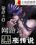 网游之黑夜传说起点