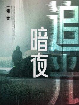 暗夜追光40集全免费观看无弹窗