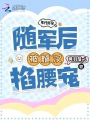 年代军嫂随军文推荐