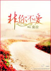 非你不爱全文