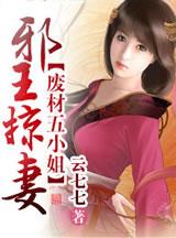 邪王追妻废材逆天五小姐
