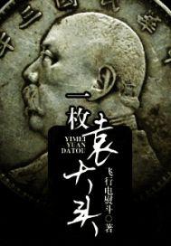 一枚袁大头银圆