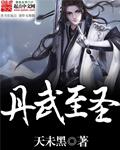 丹武至尊吧