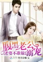 腹黑老公溺宠老婆不准躲无删减