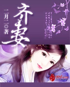 齐妻txt