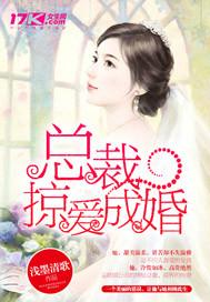 总裁掠爱成婚书包