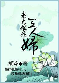 老大嫁作三人妇作者是胡芩