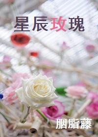 星辰玫瑰陨石项链的寓意和象征